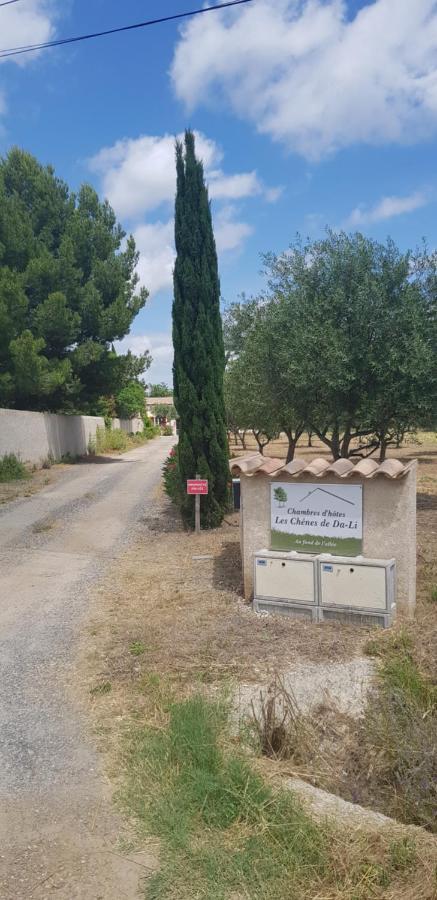 Les Chenes De Da-Li Bed and Breakfast Lezignan-la-Cebe Exterior foto